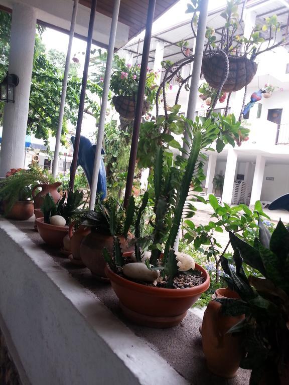 Hotel Villa Maritza Melgar Ngoại thất bức ảnh